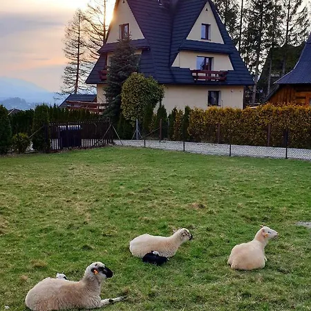 Bella Vista * Zakopane